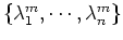 $\{\lambda_1^m,\cdots,\lambda_n^m \}$