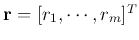 ${\bf r}=[r_1,\cdots,r_m]^T$