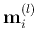 ${\bf m}_i^{(l)}$