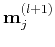 ${\bf m}_j^{(l+1)}$