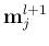 ${\bf m}_j^{l+1}$
