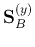 ${\bf S}_B^{(y)}$
