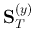 ${\bf S}_T^{(y)}$