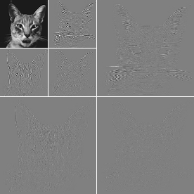 catdwt2.jpg