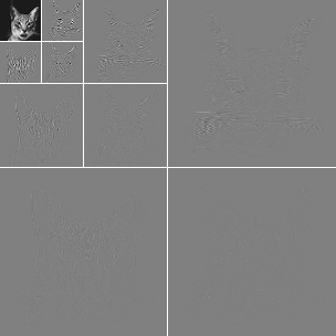 catdwt3.jpg