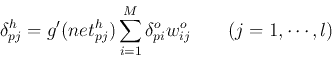 \begin{displaymath}
\delta_{pj}^{h}=g'(net^h_{pj}) \sum_{i=1}^M \delta_{pi}^{o} w_{ij}^o
\;\;\;\;\;\;\;(j=1,\cdots,l)
\end{displaymath}