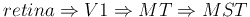 $retina \Rightarrow V1 \Rightarrow MT \Rightarrow MST$
