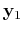 ${\bf y}_1$