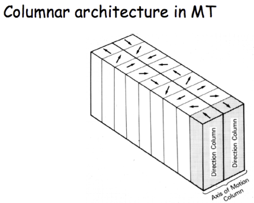 ColumnarMT.png