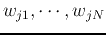 $w_{j1},\cdots,w_{jN}$