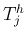 $T^h_j$
