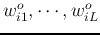 $w_{i1}^o,\cdots,w_{iL}^o$