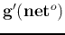 ${\bf g}'({\bf net}^o)$