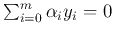 $\sum_{i=0}^m \alpha_i y_i=0$