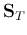 $\displaystyle {\bf S}_T$