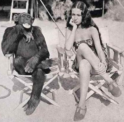 MonkeySeeMonkeyDo.png