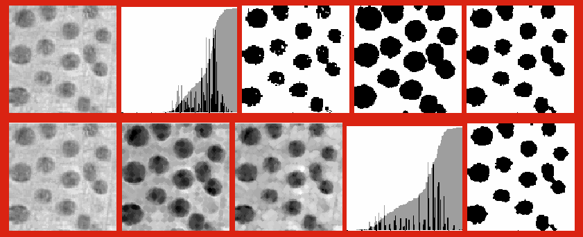 MorphologyDemo.gif