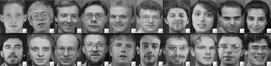 faces.gif