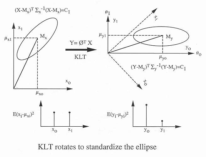 klt_rotation.gif