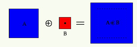 morphology2.gif