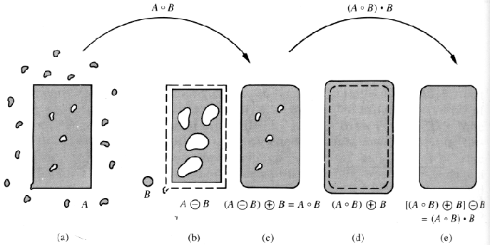 morphology4.gif