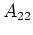 $A_{22}$