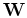${\mathbf W}$
