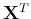 ${\bf X}^T$
