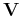 ${\bf V}$
