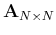 ${\bf A}_{N\times N}$
