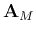 ${\bf A}_M$