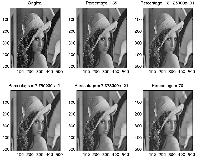 Image Compression with SVD