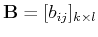 ${\bf B}=[b_{ij}]_{k\times l}$