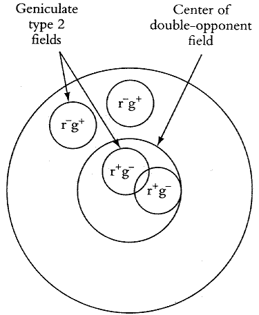 ../figures/Color_double_component.gif