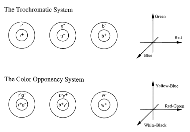 ../figures/Color_two_systems.gif