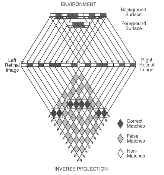 ../figures/MP_depth_model_0.gif