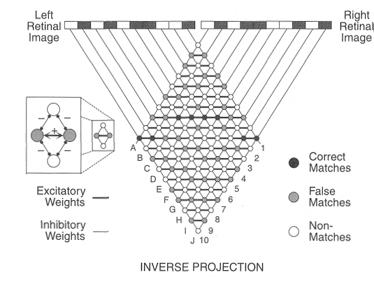 ../figures/MP_depth_model_1.gif