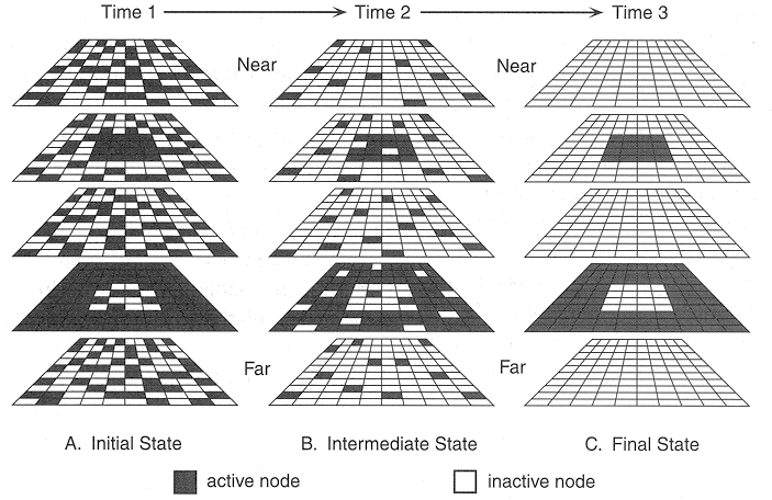 ../figures/MP_depth_model_2.gif