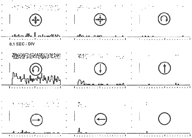 ../figures/MST_response_1.gif