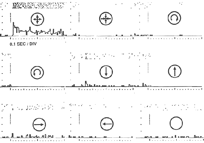 ../figures/MST_response_2.gif