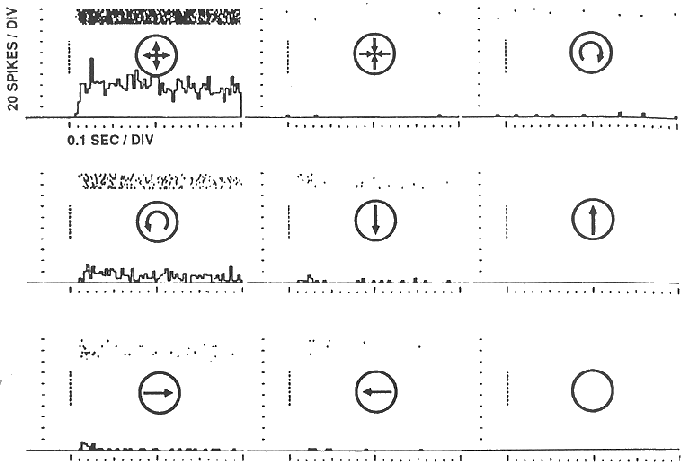 ../figures/MST_response_3.gif