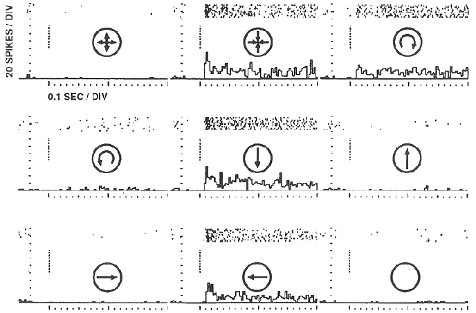 ../figures/MST_response_4.gif