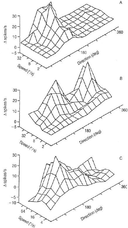 ../figures/MTvelocity_tuning_1.gif
