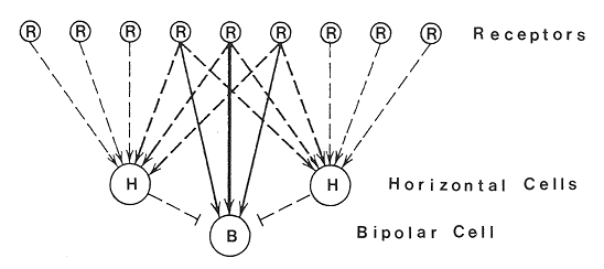 ../figures/RHBcircuit.gif