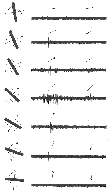 V1directiontuning.gif