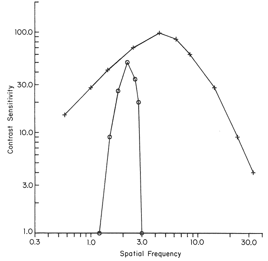 csf_decomposition_data.gif