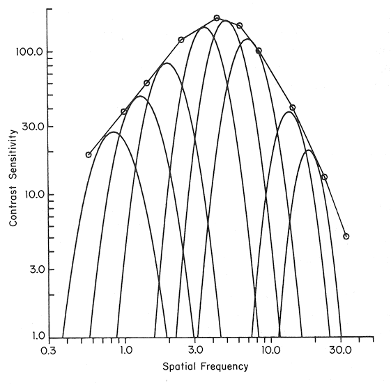 csf_decomposition_model.gif