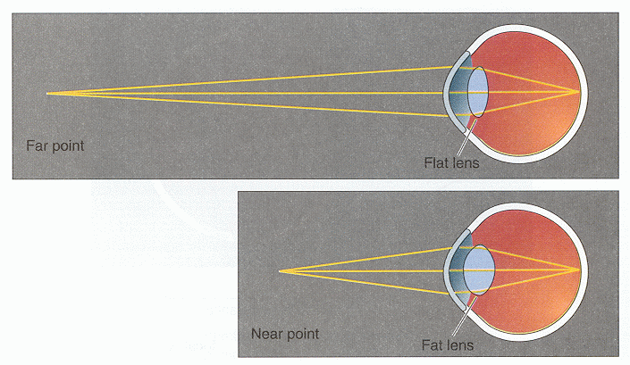 ../figures/eyelensfocus2.gif