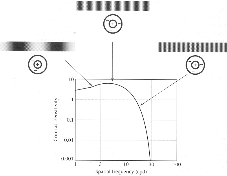 ../figures/frequencyresponse.gif