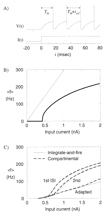 ../figures/leakyintegrateandfire.gif